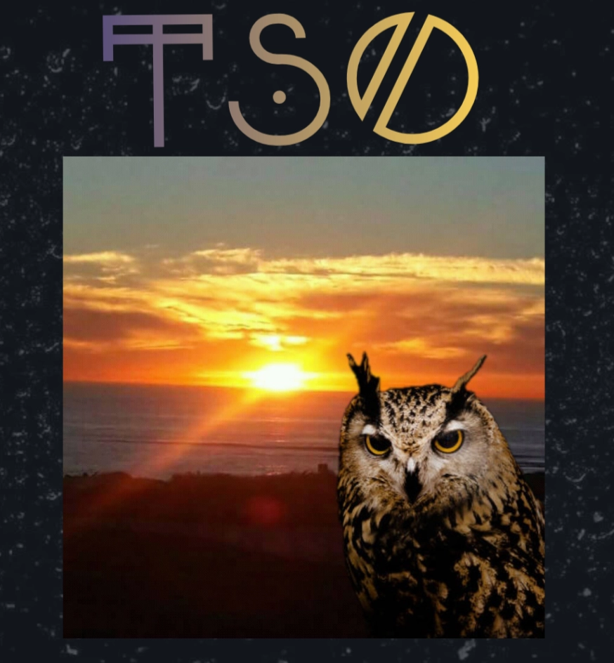 The TSO Ecosystem Logo